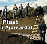 Bók: Plastöldin í Þjórsárdal - og tóm steypa