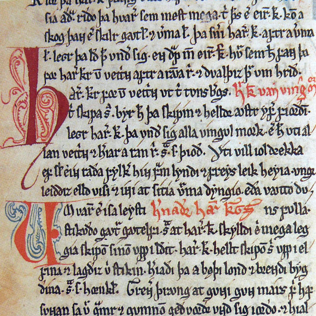 CodexFrisianus