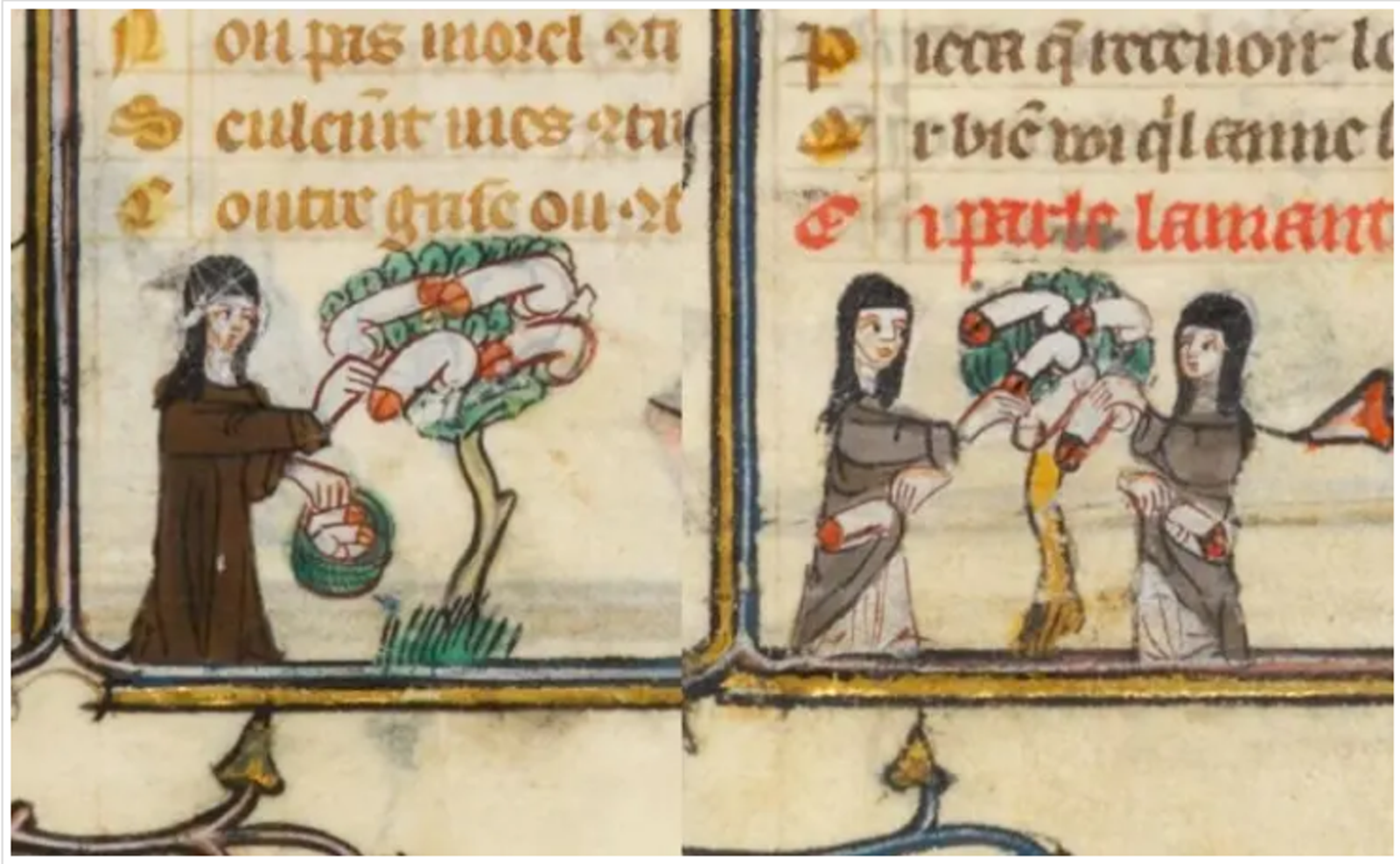 Screenshot 2021-09-25 at 20-05-32 Oddities in Medieval Manuscript Illustrations